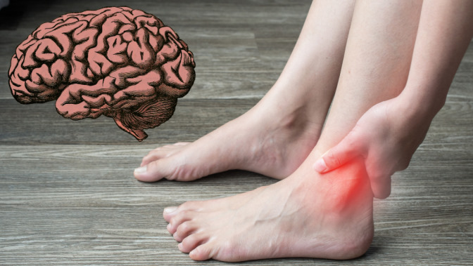 Can You Heal the Brain Like You Can A Weak Ankle?